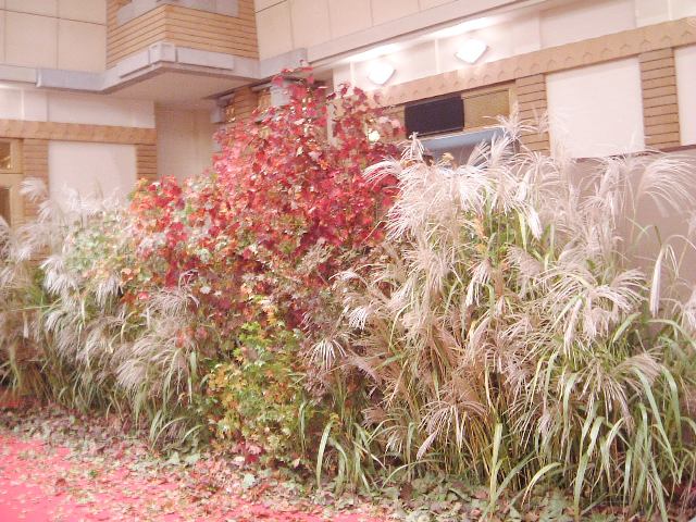 http://www.hanadai.co.jp/0044.JPG