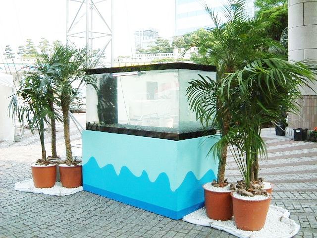 http://www.hanadai.co.jp/DSCF00201.JPG