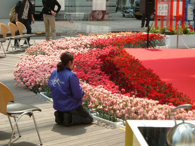 http://www.hanadai.co.jp/DSCF01101.JPG
