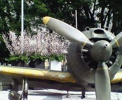 070302俺は君のため02.jpg