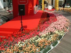 040517SWITCH01.JPG