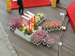040517SWITCH04.JPG