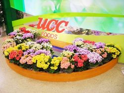 080225UCC01.JPG