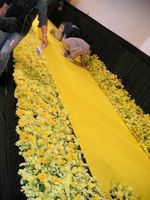 071210陰日向02.JPG