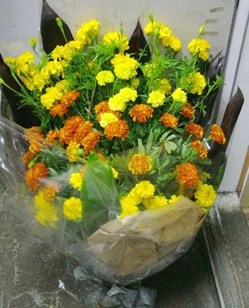 080908イキガミ03.JPG