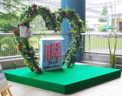 100609MATATAKI05.JPG