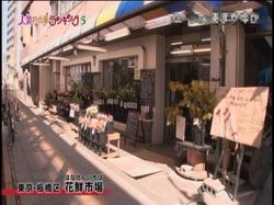 130315oshigoto-01.jpg