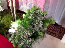 20130513shiseidou-04.jpg