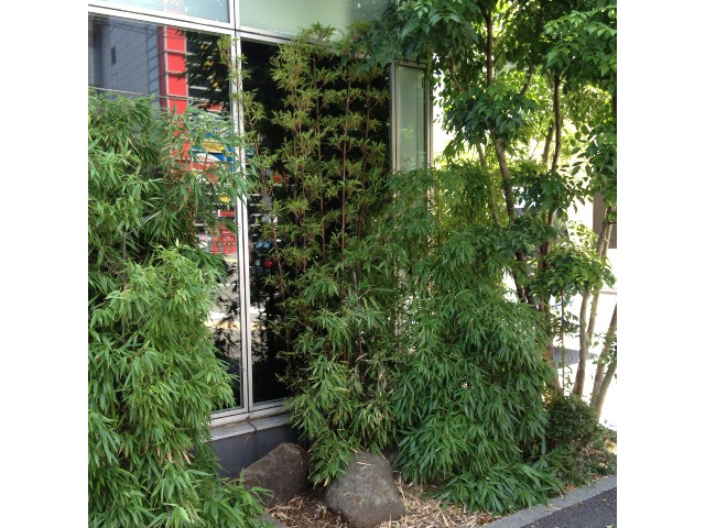 http://www.hanadai.co.jp/img/eventimg/130707-takesyokus-1.jpg