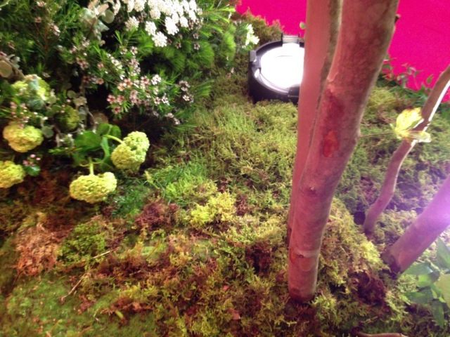http://www.hanadai.co.jp/img/eventimg/20130513shiseidou-02.jpg